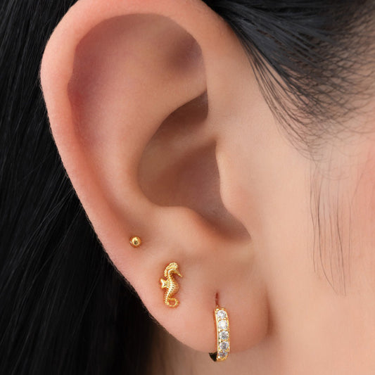 Topo Caballito de Mar